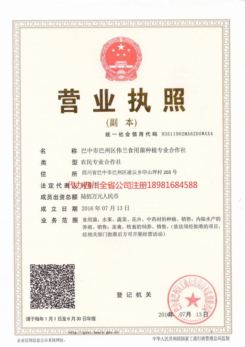 泸州泸州伟兰食用菌种植专业合作社